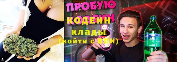 дмт Арсеньев