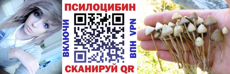 Псилоцибиновые грибы мухоморы  Почеп 
