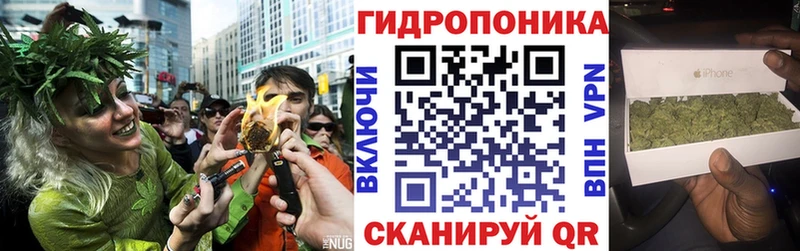 Бошки Шишки сатива  нарко площадка формула  Почеп 